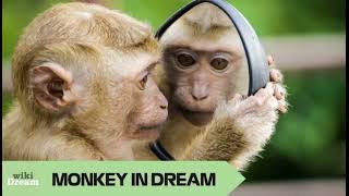MONKEY dream interpretation: Mischievous tendencies uncovered