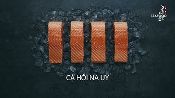 Nguồn gốc làm nên chất lượng | Cá hồi Na Uy