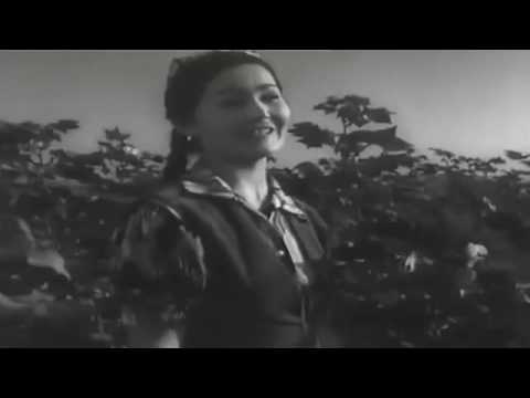 Görüş film, 1955