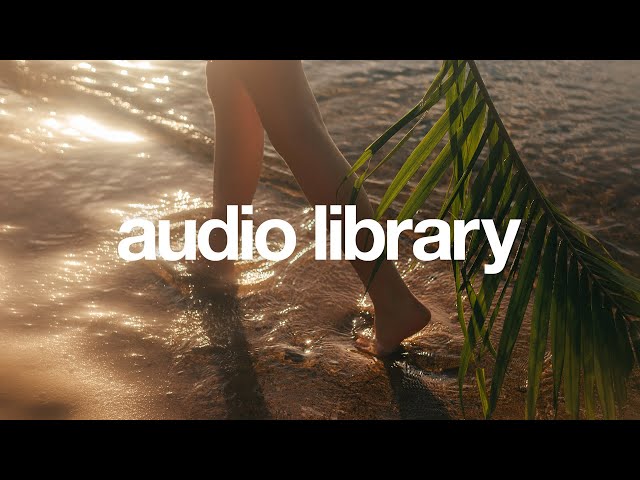 Audio Library Unlimited Background Music