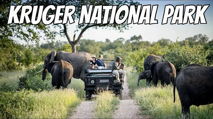 I Spent 24 Hours in Kruger National Park!