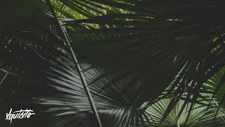 Alexei Maslov - Celestia
Alexei Maslov - Celestia
Follow Xquisite
https://www.facebook.com/XquisiteChill
https://twitter.com/XquisiteChill
https://soundcloud.com/xquisitechill
https://www.instagram.com/xquisitechill/
Follow Alexei Maslov
https://soundcloud.com/alexei-maslov-official
Picture by © Joel Naren
https://unsplash.com/@joeljnaren
Tags
#chill #chillout #chillmusic
I do not own the rights to any of the content used, If you have an issue with any upload on this channel and would like me to take it down, please contact me and I will do so. This channel is strictly for promotion.
- Alexei Maslov - Celestia