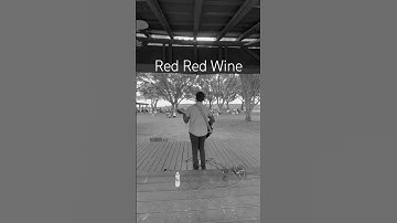 Thumbnail of Red Red Wine Acoustic Cover Live #ub40 #80smusic