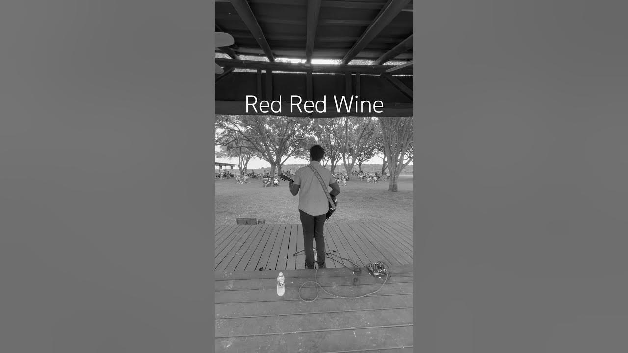 Red Red Wine Acoustic Cover Live #ub40 #80smusic