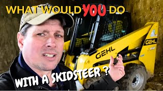 SHOULD I BUY A SKIDSTEER ?