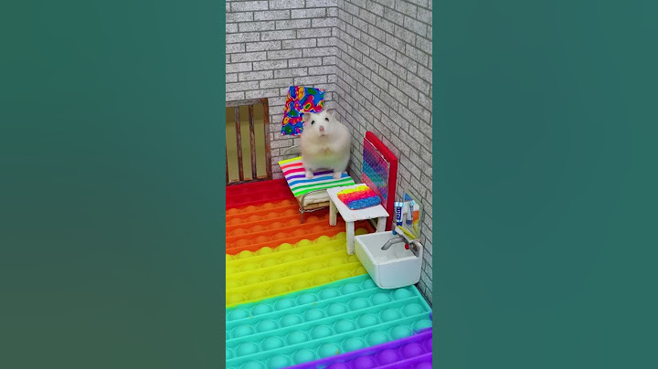 🐹 Хомяк сбегает из Pop It лабиринта #Shorts 🐹 Хомура Хам