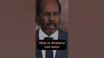Heestii Sharma Boy Qabsatay Media Ha Mafahmin 