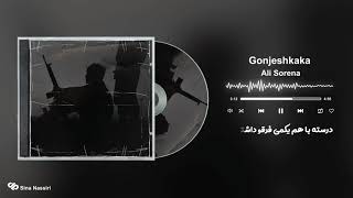 Watch Ali Sorena Gonjeshkaka video