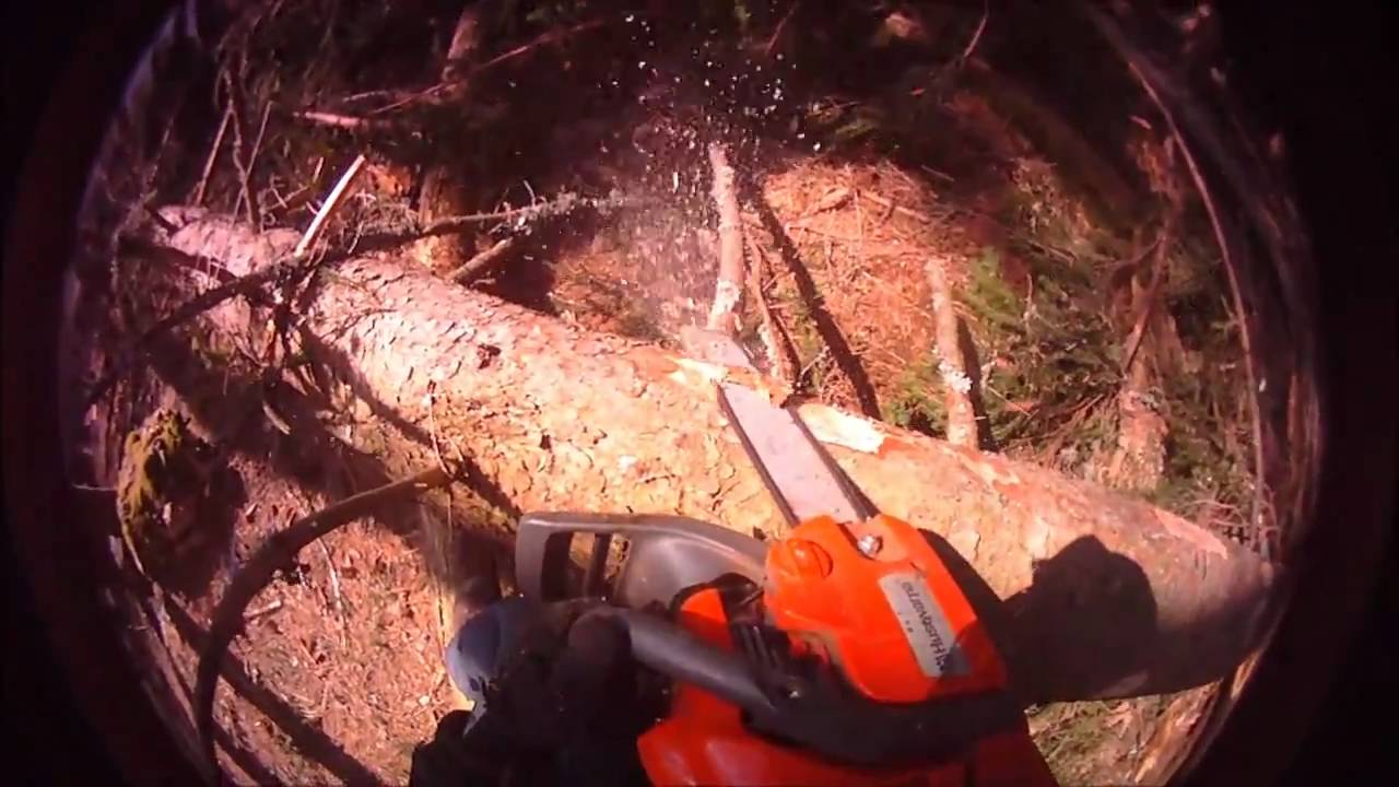 Husqvarna 435 in action 2