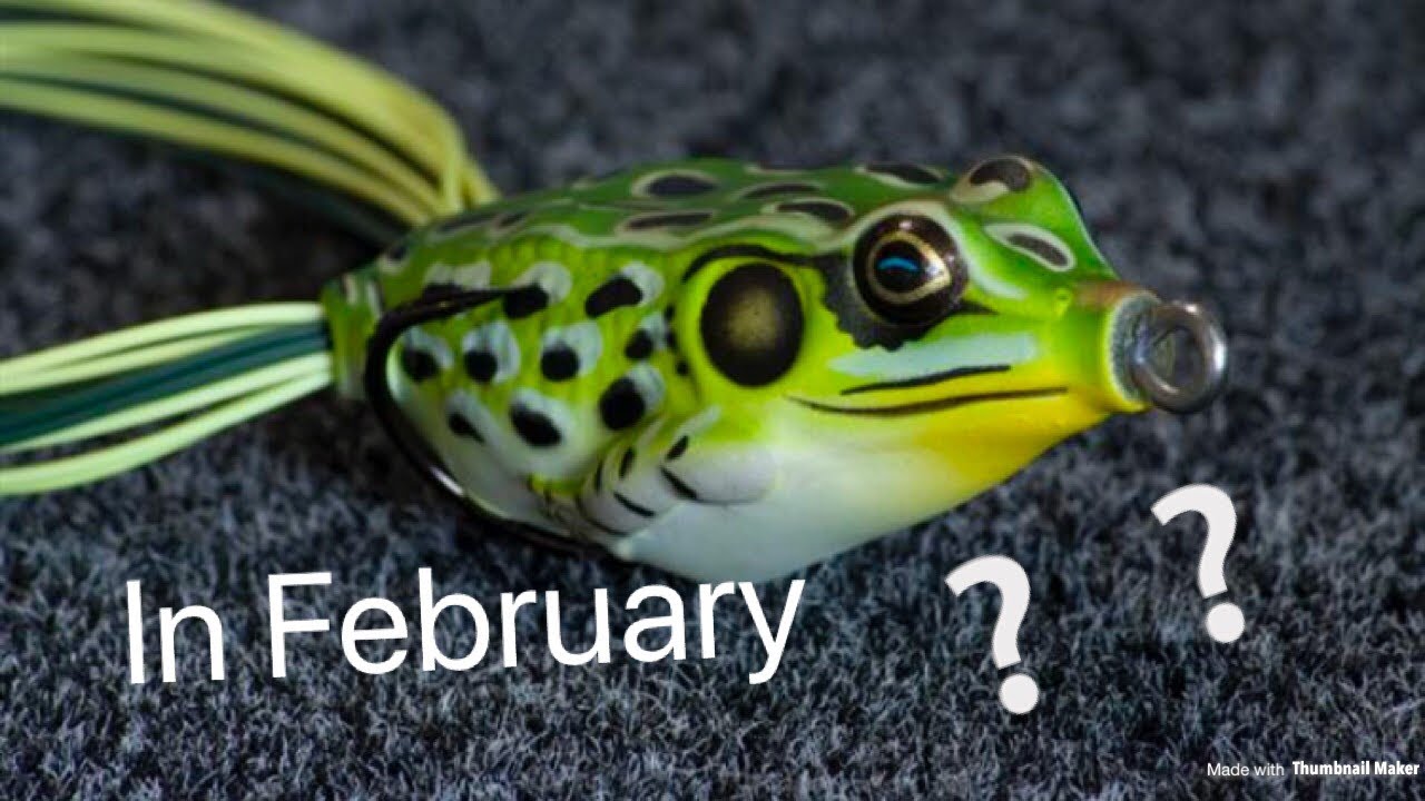 TopWater Frog Fishing in February!? YouTube