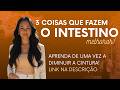 3 Coisas que Fazem Seu Intestino Melhorar!