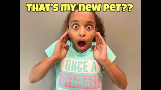 What's in her ROOM?! NEW PET SURPRISE!