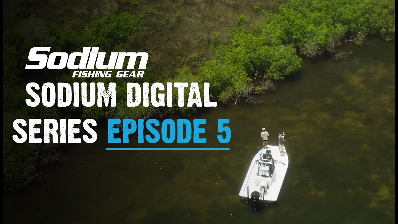 Top Guide James Kerr  Sodium Digital Series - Episode 5 