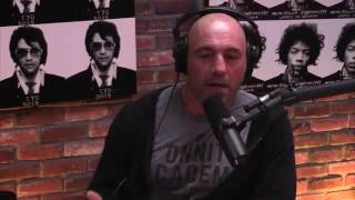 Joe Rogan | PIT BULLS are DANGEROUS