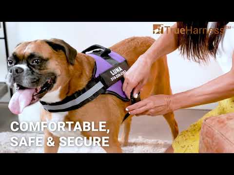 Video: Hvordan lage en enkel No-Pull Dog Harness fra ting du kanskje allerede har