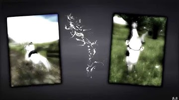 ♥Together♥|ℳep| part 10