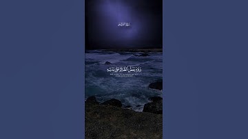 #محمد_اللحيدان #سورة_الفرقان #القرآن_الكريم #اكتب_شي_تؤجر_عليه