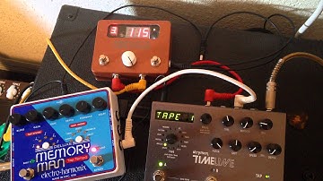 Tapestry Audio Time Traveler demo with Strymon Timeline and EHX Deluxe Memory Man TT