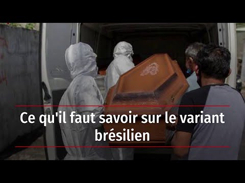 Vidéo: Nouvelles Variantes De Perte De Fonction De TRAPPC2 Manifestant Une Dysplasie Spondyloépiphysaire Liée à L'X Tardive: Rapport De Deux Cas