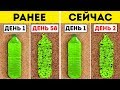 Ученые Нашли Бактерию, Которая Питается Пластиком