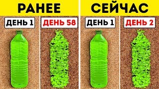 Ученые Нашли Бактерию, Которая Питается Пластиком Ученые Нашли Бактерию, Которая Питается Пластиком