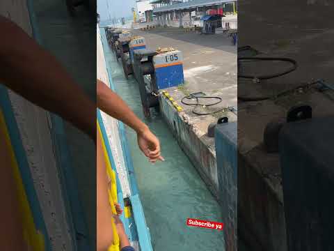 Pulang ke Lampung