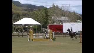 Dreamcatcher - Meredith Herman