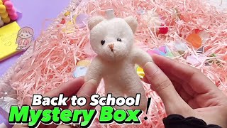 🌸Back to School Mystery Box ft. @stationerypal - Huge Stationery Haul | Creative Ideas Urooba