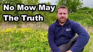 No Mow May - Is It REALLY Worth It?