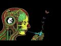 New UC-Davis Study on Long-Term Marijuana Use