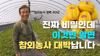 베테랑 참외농가가 알려주는 재배 노하우! 이것만 알면 참외농사 대박납니다. (※마지막 반전! 끝까지 시청주의※)