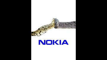 Nokia Startup Animation (edit)