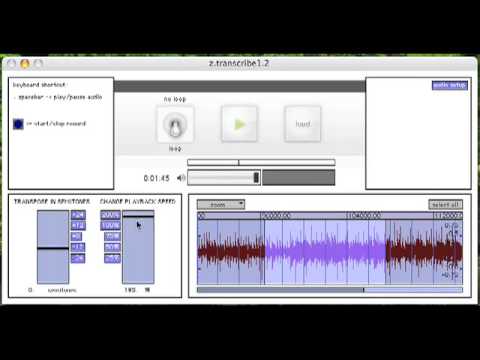 z.transcribe demo