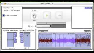 z.transcribe demo