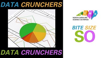 Bite Size SO - Data Crunchers