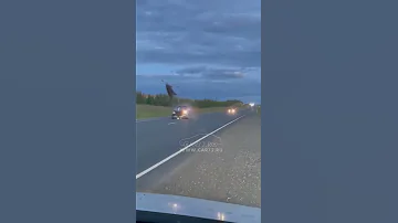 Момент ДТП: Hyundai Getz сбивает лося