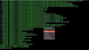 How To Install Shopware on Ubuntu Linux