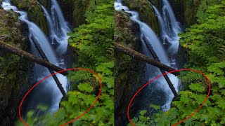 Fix Blurred Leaves, Flowers and Overexposed Water From David Cobb's Columbia River Gorge Workshop