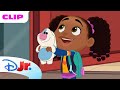 AJ Learns to Be Responsible Walking to Jazz’s House! 🐰🏡 | Hey A.J.! | @DisneyJr