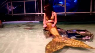 Mermaid Monday 2015