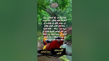 ألم تر كيف ضرب الله مثلا كلمة طيبة كشجرة طيبة أصلها ثابت | الآية 24 من سورة إبراهيم