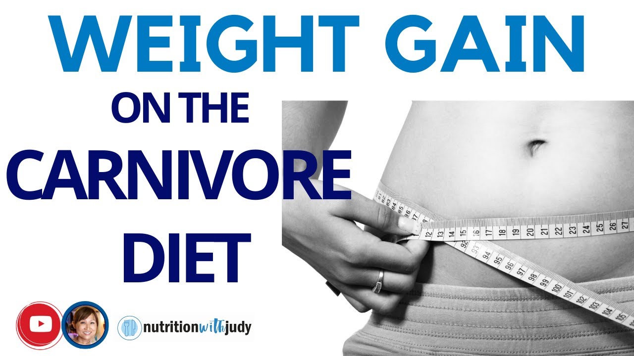 WEIGHT GAIN on the Carnivore Diet - YouTube