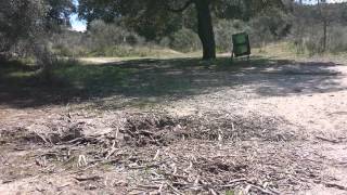 El Pardo Glamis Uno SCTE 20140323(3)