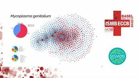 Towards Homogeneous Modeling and Simulation of Whole-Cells - Paulo Burke - SysMod - ISMB/ECCB 2019