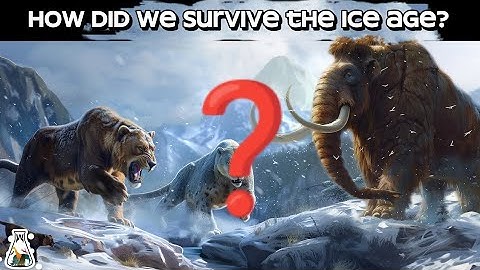 How Did we Survive the Ice AGE?