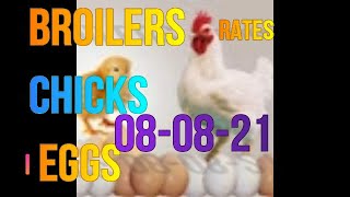 08-08-2021 poultry rates | Daily Poultry Rates | Daily poultry rates in india| egg | broiler |chick screenshot 1