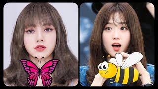 Choose Lisa or Jisoo honey bee and butterfly edit #lisa #jisoo #blackpink #blink #kpop