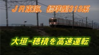 【ＪＲ東海】東海道線を爆走する313系と貨物に特急