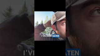 Cooking Bison at 32° | No Build 4Runner 🍔 #4runneroverlanding #4runnercamper #vanlife