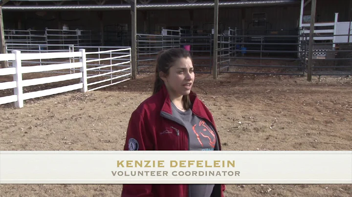 Volunteer at Turning Point Ranch